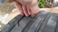 post-60607-0-44317500-1397888213_thumb.jpg