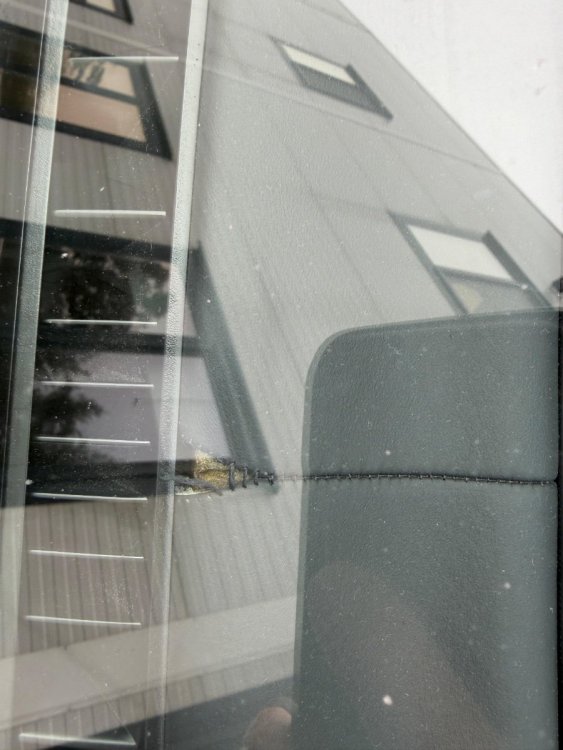 WhatsApp Image 2025-12-09 at 11.11.34.jpeg