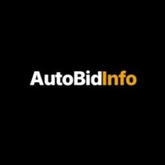 AutoBidInfo